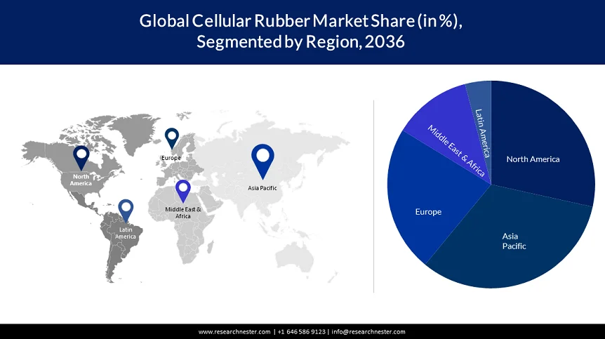 Cellular Rubber Market Share